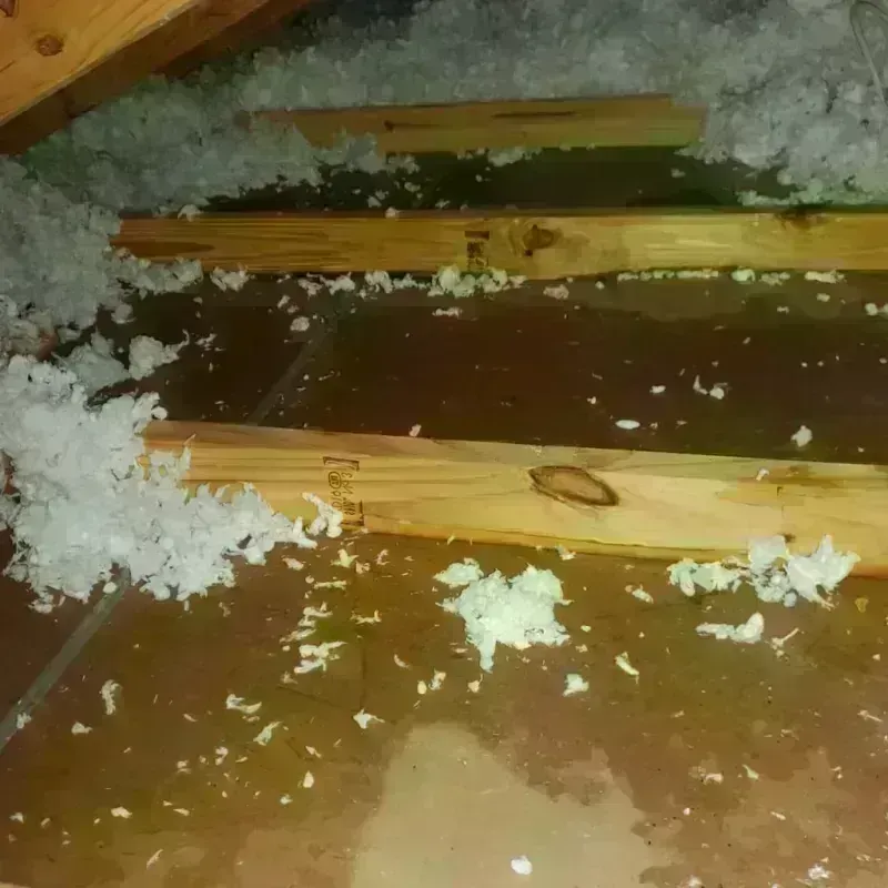 Best Attic Water Damage Service in Falconer, NY